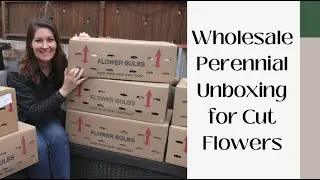 $1200 Wholesale Perennial Unboxing || Cut Flowers || Carissa's Garden