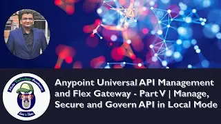 Anypoint Universal API Management and Flex Gateway - Part V | Manage, Secure API in Local Mode