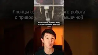 Двуногий робот с живыми мышцами