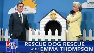 Rescue Dog Rescue with Emma Thompson