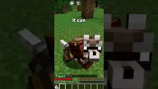 Minecraft Added The Armadillo For The 2023 Mob Vote!