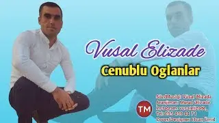 Vusal Elizade - Cenublu Oglanlar