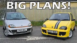 BIG Plans For Super Seicento! Miller Corner Q&A 2024