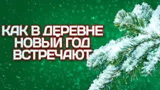 КАК ВСТРЕЧАЮТ НОВЫЙ ГОД В ДЕРЕВНЕ