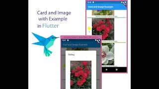 Card, Image in Flutter with Example (Arabic) -شرح الكرت و الصورة في فلاتر مع مثال