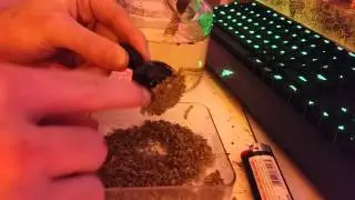 How to: pack a bowl like a pro