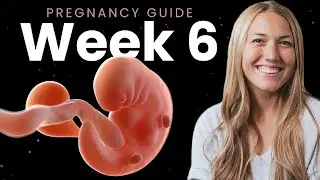 6 Week Pregnancy | Week By Week Pregnancy