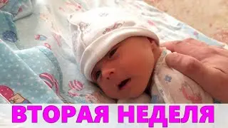 ВТОРАЯ НЕДЕЛЯ ЖИЗНИ РЕБЕНКА | Что происходит с ребенком на второй неделе жизни