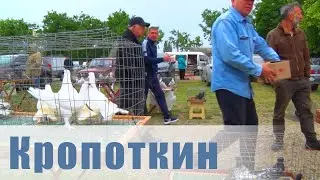 Птичий рынок. Кропоткин. [26.05.2024]