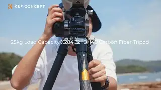 K&F CONCEPT Professional Carbon Fiber Tripod X284C2+BH40 | 25kg Load Capacity Indoor Outdoor Tripod