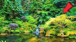 Portland Japanese Garden Oregon Full Virtual Tour 2024