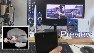 Preview - Izzy's Two-Eyed Robot Object Recognition