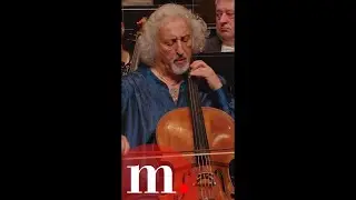 Channeling my inner Bach vibes 