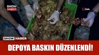 Şanlıurfa’da 10 ton bozuk tavuk eti ele geçirildi!