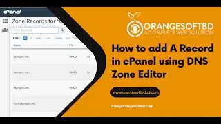 How to add A Record in cPanel using DNS Zone Editor with Orange Soft BD