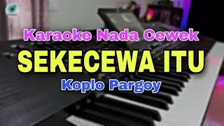 SEKECEWA ITU - KARAOKE LIRIK VERSI KOPLO || NADA CEWEK