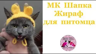 Как вязать шапку Жираф для собаки и кота