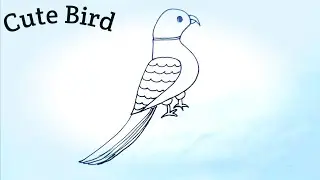 🔆How To Draw a Bird | Birds Drawing Step By Step For Beginners | Cute Bird Drawing