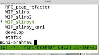 Adding libslirp networking to DOSBox-X: Part 3