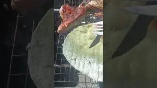 сок крапивы в лепёшках.