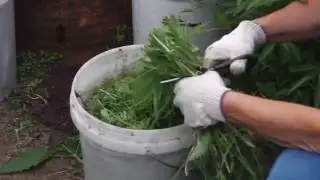 КАК ПРИГОТОВИТЬ ЗЕЛЕНОЕ УДОБРЕНИЕ ИЗ ТРАВЫ