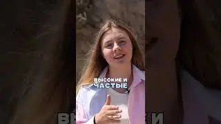 Как заработать на недвижимости если в кармане всего 1к?