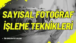 📸💻 Sayısal Fotoğraf İşleme Teknikleri: Görsellerinizi Sanata Dönüştürün! 🎨✨