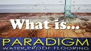 Paradigm Waterproof Flooring - What is it? How it's made? Care/Maintenance