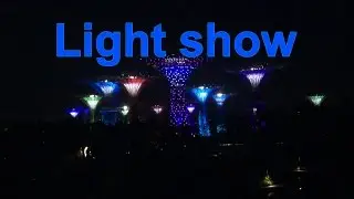 Gardens by the Bay Light Show