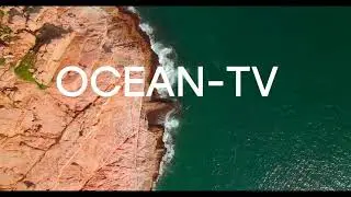 Вы смотрите СМИ OCEAN-TV