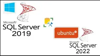 Migrate Data from SQL Server 2019 on Windows 10 to SQL Server 2022 on Ubuntu 22.04