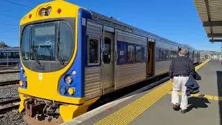 Pukekohe diesel shuttles