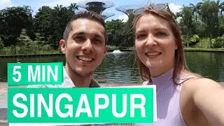 Singapur in 5 Minuten 🌳🦎 Weltstadt in den Tropen