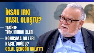 İnsan Irkı Nasıl Oluştu?