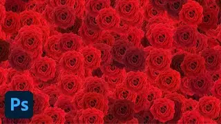 Make pattern in Adobe Photoshop -  make rose pattern in photoshop