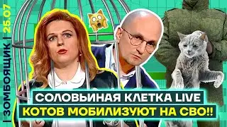 📺 ЗОМБОЯЩИК | z-гниды кусают z-соловьёвских! | Смотрим 12-часовой телемарафон вербовки