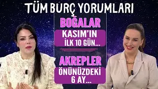 MİNE ÖLMEZ'DEN 12 BURÇ YORUMU / BOĞALAR KASIM'IN İLK 10 GÜNÜ.. AKREPLER ÖNÜNÜZDEKİ 6 AY...