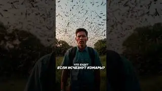 Мир без комаров. Что произойдет, если они исчезнут навсегда?