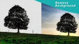 how to remove tree background using channel in photoshop cc