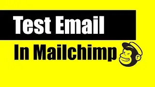 How to Send a Test Email in Mailchimp | Sending A Test Email In Mailchimp.