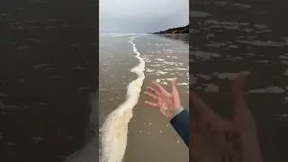 If YOU See THIS on the Beach SMASH it! 
