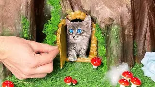 Rescue the TINIEST KITTEN in the World😱 *DIY Kitten House and Makeover*