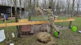 ГИБРИДЫ ВОЛКА впервые увидели СОЛОМУ. ВОЛЧИЙ хор в ПАРКЕ СЕВЕРНЫХ ВОЛКОВ 🐺