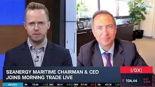 Seanergy Maritime (SHIP) CEO on International Shipping Trends