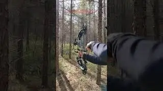 Steel Ball Compound Bow For Beginners 🏹 ►536 #bowandarrow #compoundbow #steelballcompoundbow