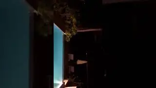 Виктория Боня на прогулке