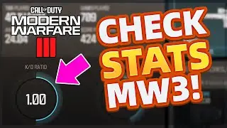 How to Check your KD in MW3 [Stats]