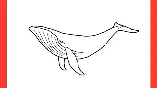 How to draw a WHALE step by step / drawing blue whale