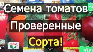 СЕМЕНА ТОМАТОВ на 2020 год. ПРОВЕРЕННЫЕ СОРТА!