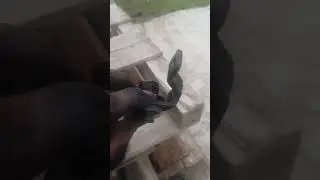 обратный клапан топлива. вольво fh12